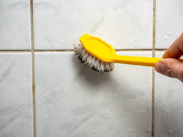 Best Mold Cleaning Services  in Edinburg, IL