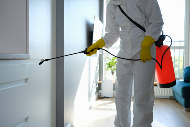 Best Mold Testing  in Edinburg, IL