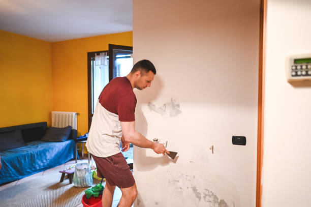 Best Emergency Mold Removal  in Edinburg, IL